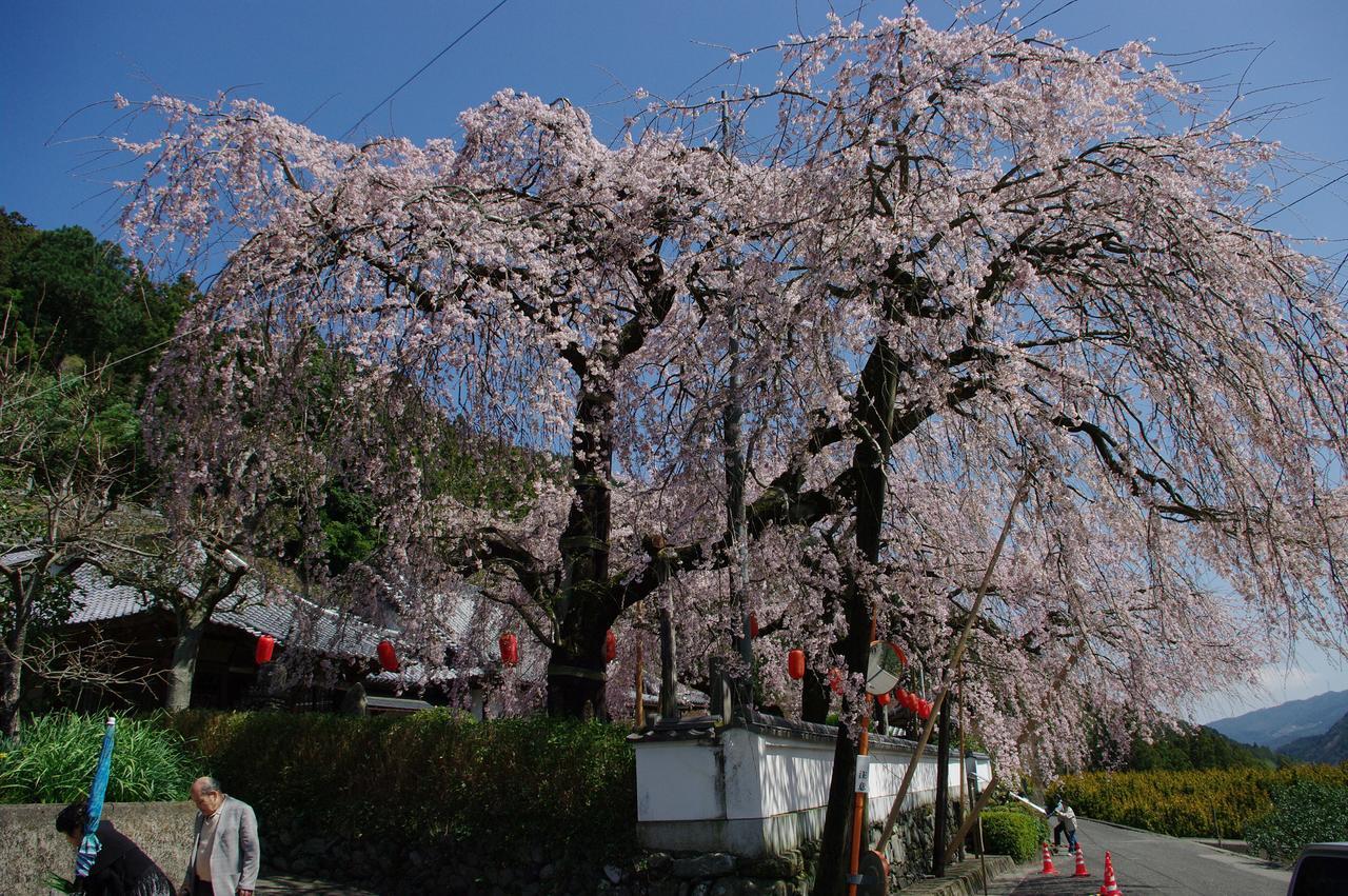 Kamiyama Onsen Hotel Shikinosato & Iyashinoyu Tokushima Dış mekan fotoğraf